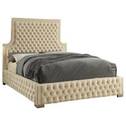 Meridian Furniture Sedona Velvet Queen Bed - Bedroom Beds