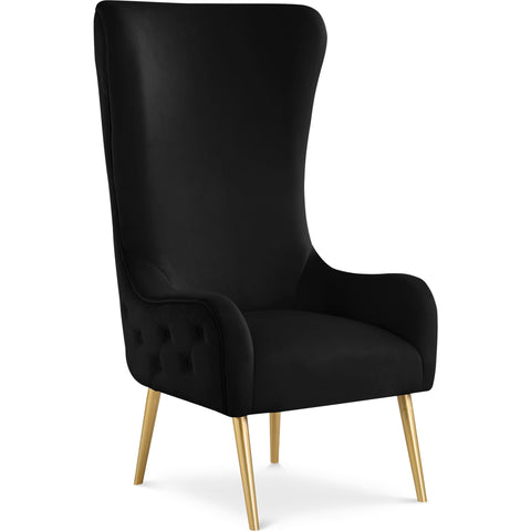 Meridian Furniture Alexander Velvet Accent Chair - Chairs