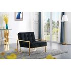Meridian Furniture Pierre Velvet Accent Chair - Chairs
