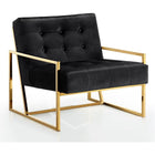 Meridian Furniture Pierre Velvet Accent Chair - Black - Chairs