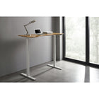 Greenington Ascent Hi-Lo Desk - Desks