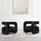 Manhattan Comfort Modern Amirah Velvet  Accent Chair in Black - Set of 2