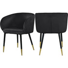 Meridian Furniture Louise Velvet Dining Chair-Set of 2 - Dining Chairs