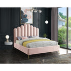 Meridian Furniture Lily Velvet Full Bed - Bedroom Beds