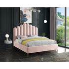 Meridian Furniture Lily Velvet Queen Bed - Bedroom Beds