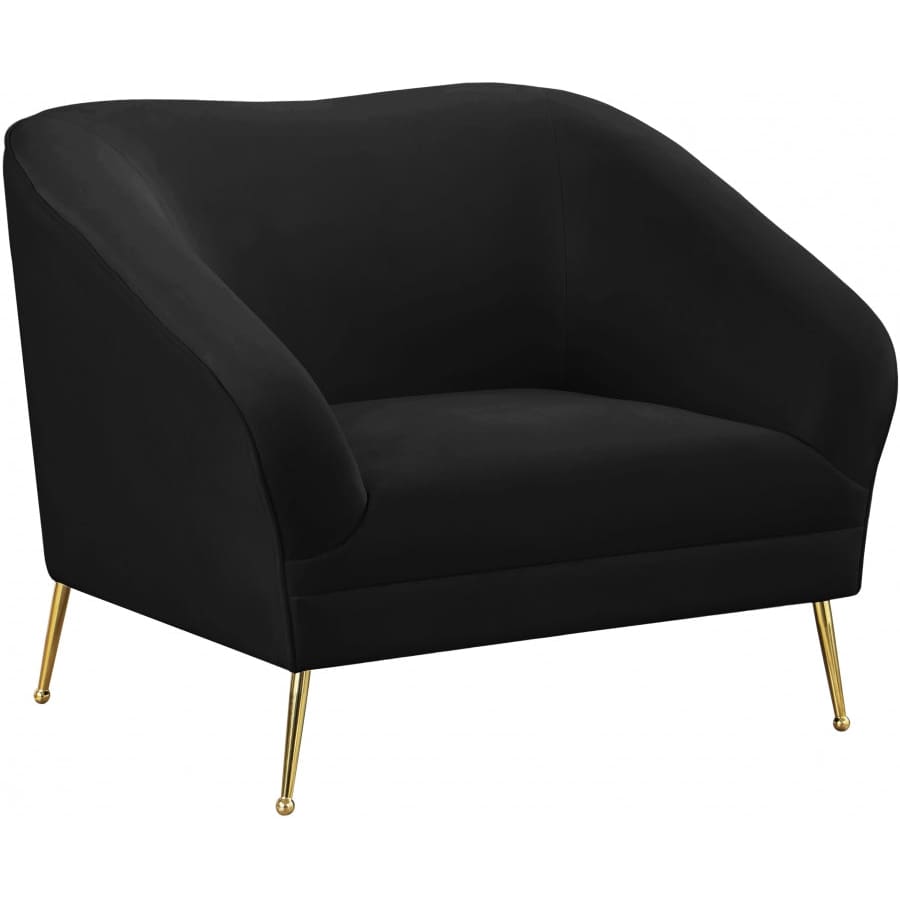 Meridian Furniture Hermosa Velvet Chair - Black - Chairs