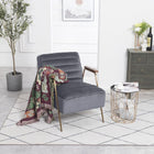 Meridian Furniture Woodford Velvet Accent Chair - Chairs